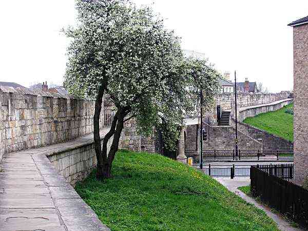 Looking towards Walmgate Bar.