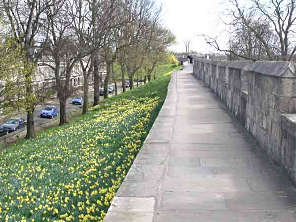 Looking towards Bitchdaughter Tower the most southerly point on the City Walls.