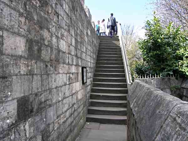 Looking towards Tofts Tower.